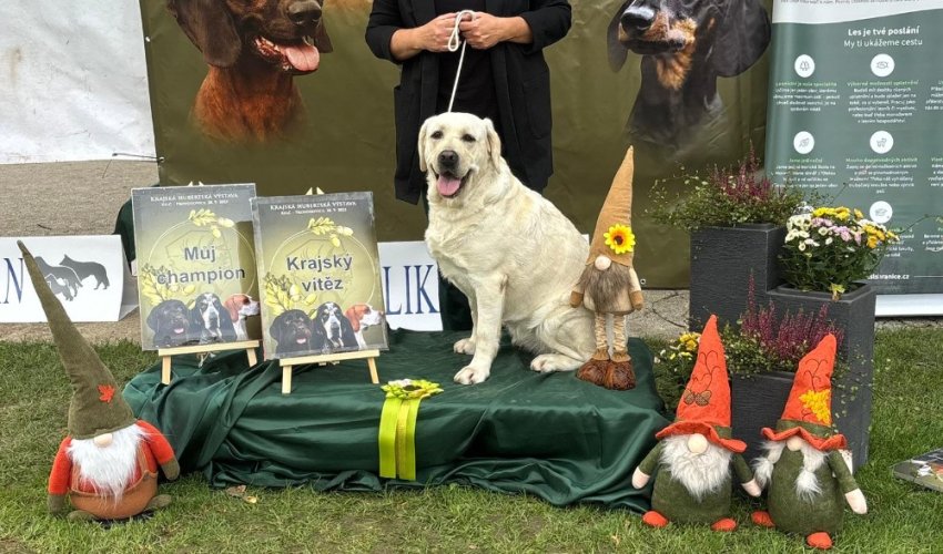 28.9.2025 Krajská Hubertská výstava Kelč - Provodovice 