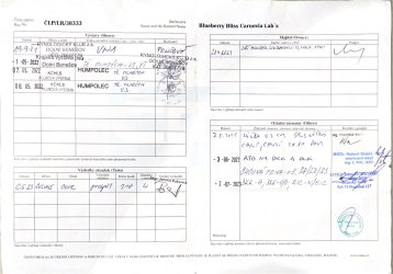 Blueberry Bliss Carnovia Lab´s